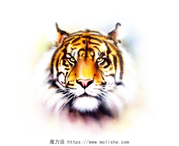白色背景上一只老虎头painting of a bright mighty tiger head on a soft toned abstract background eye contact